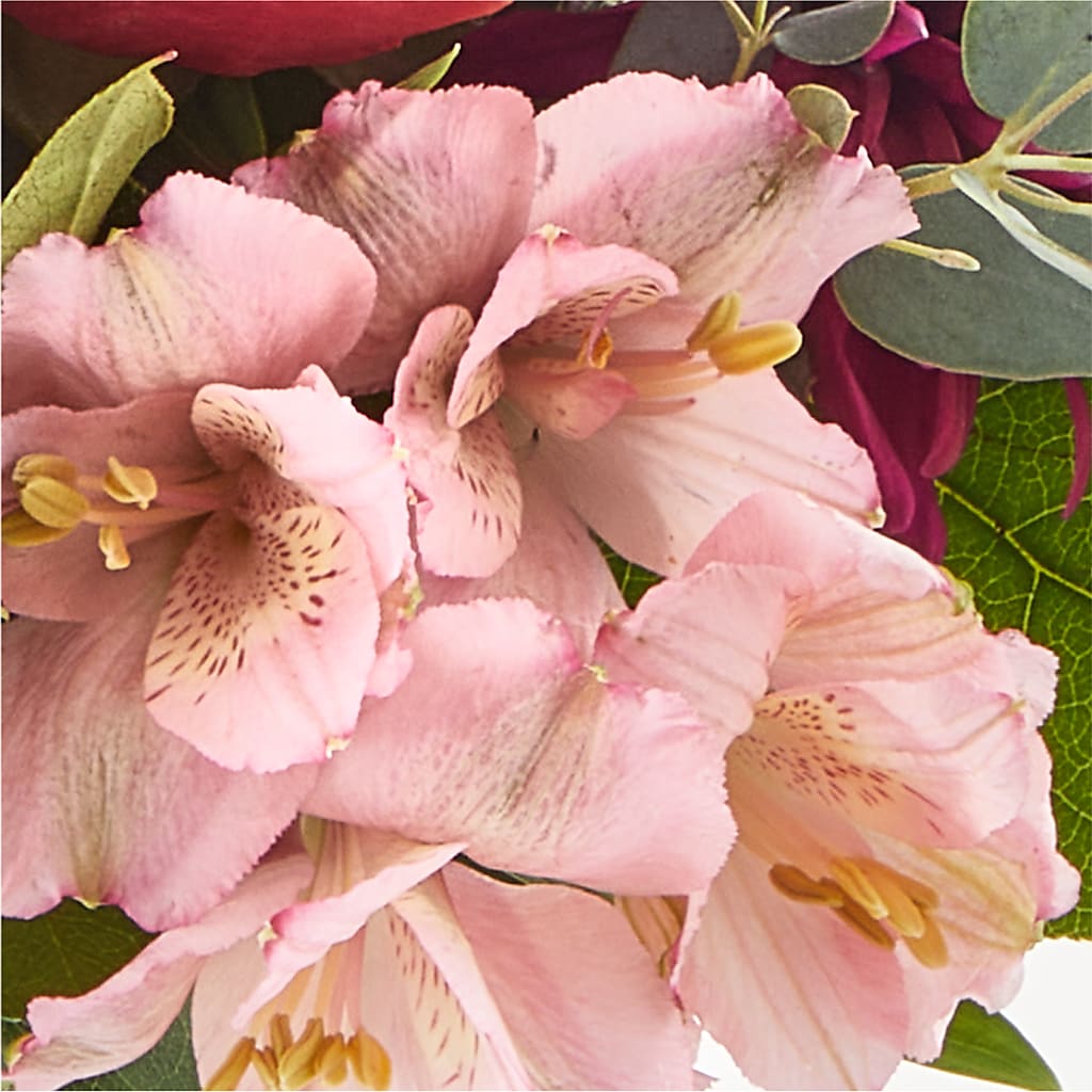Berry Cobbler Bouquet –  Bird Of Paradise Flowers, Bristol PA