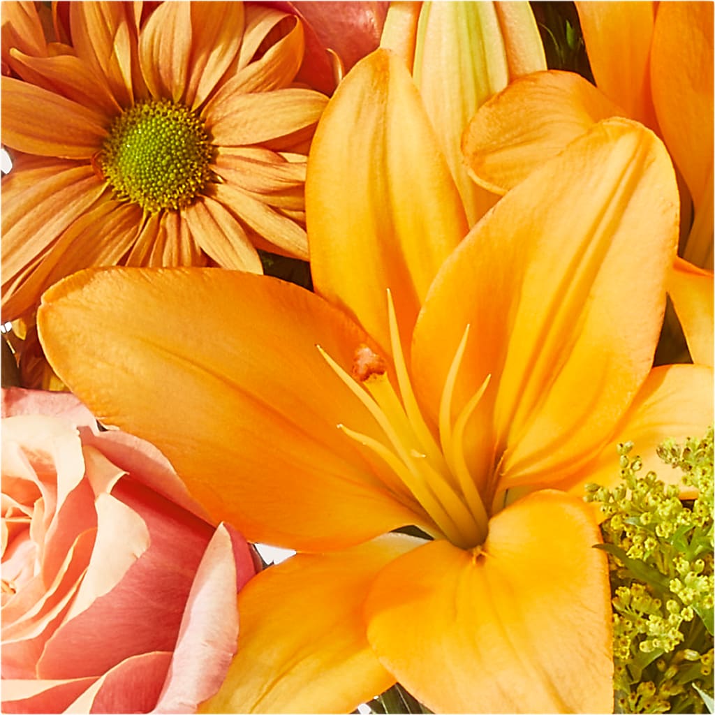 Harvest Hayride Bouquet –  Bird Of Paradise Flowers, Bristol PA