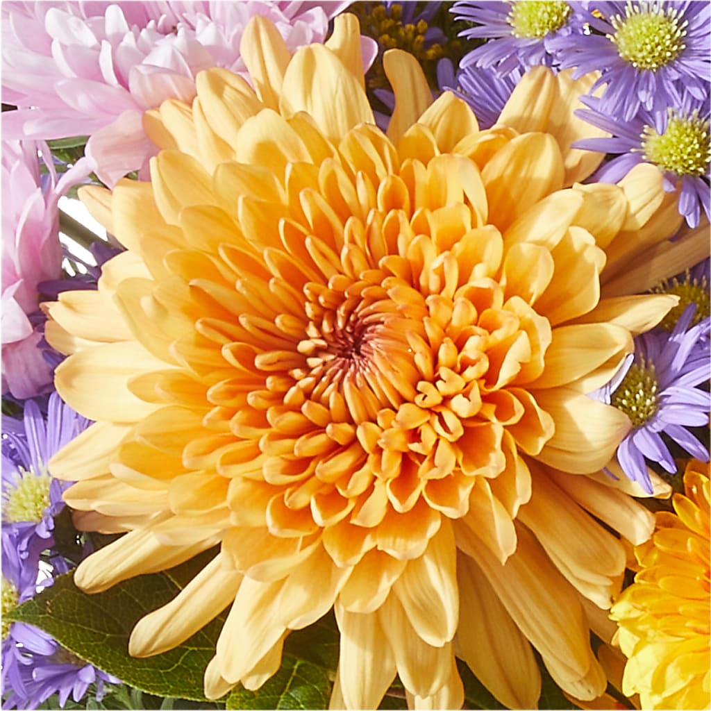 Countryside Bouquet –  Bird Of Paradise Flowers, Bristol PA