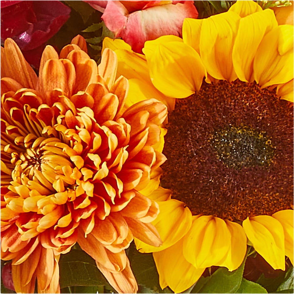Seasons Change Bouquet –  Bird Of Paradise Flowers, Bristol PA