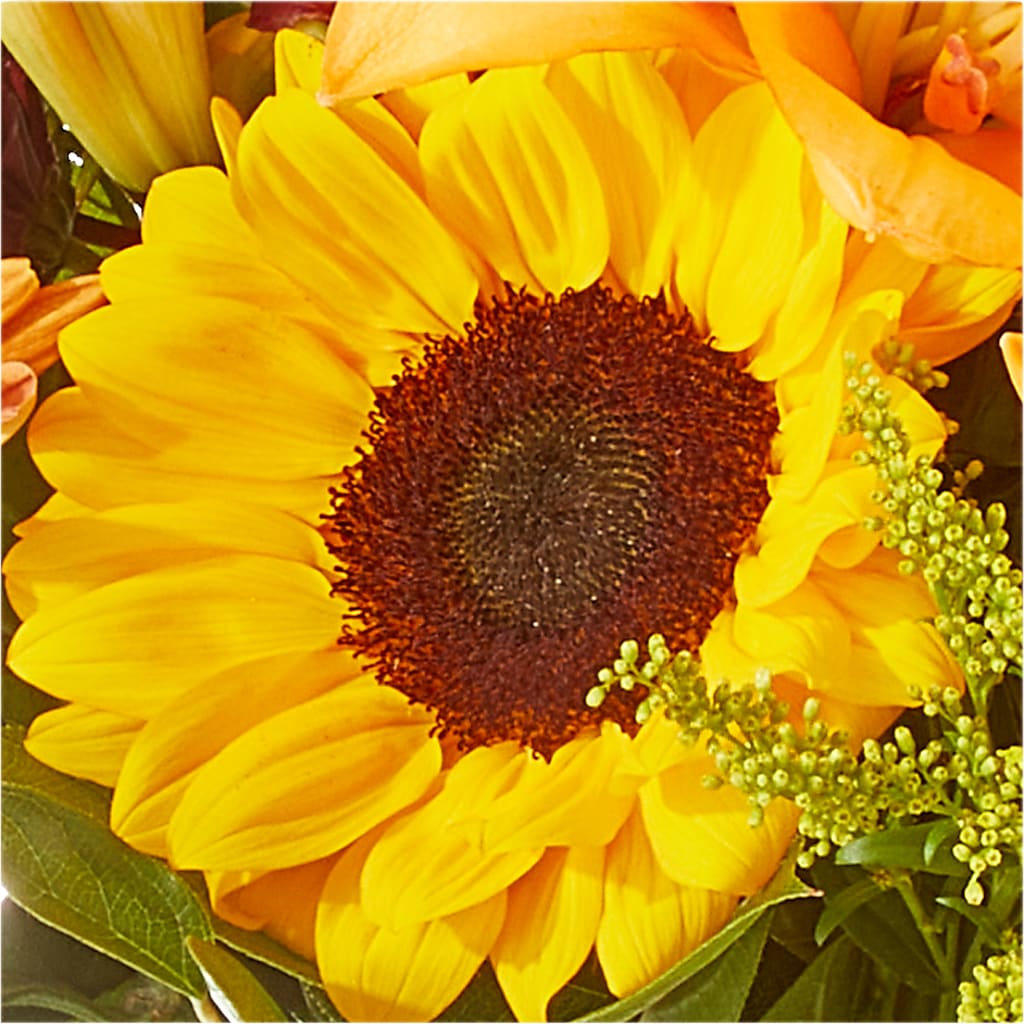 Seasons Change Bouquet –  Bird Of Paradise Flowers, Bristol PA