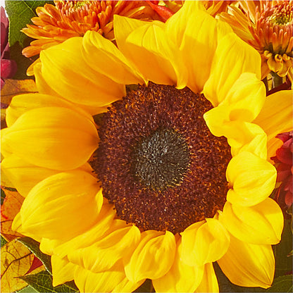 Sunny Side Bouquet –  Bird Of Paradise Flowers, Bristol PA