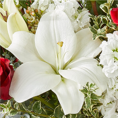 Twinkle Lights Bouquet –  Bird Of Paradise Flowers, Bristol PA