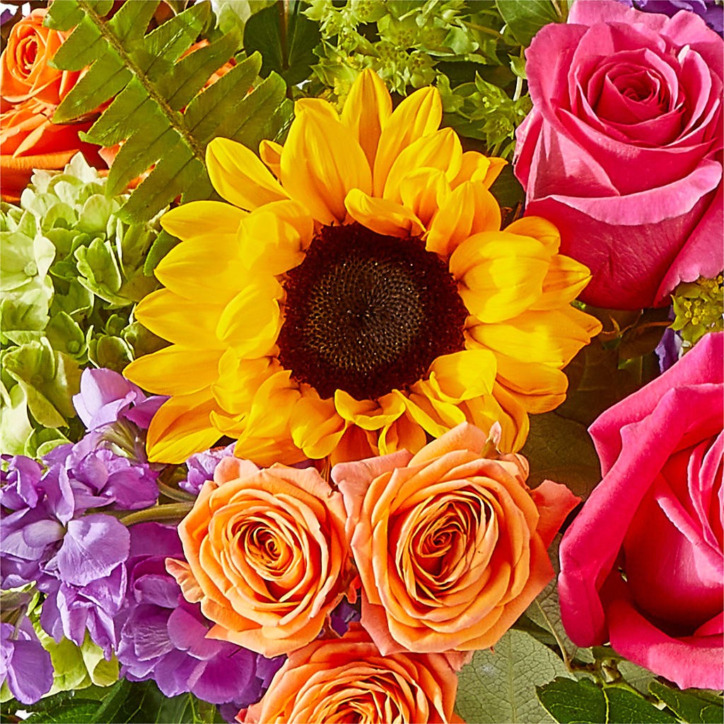 Vibrant Greetings Bouquet –  Bird Of Paradise Flowers, Bristol PA