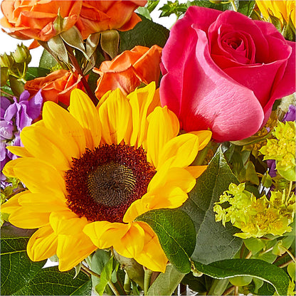 Vibrant Greetings Bouquet –  Bird Of Paradise Flowers, Bristol PA