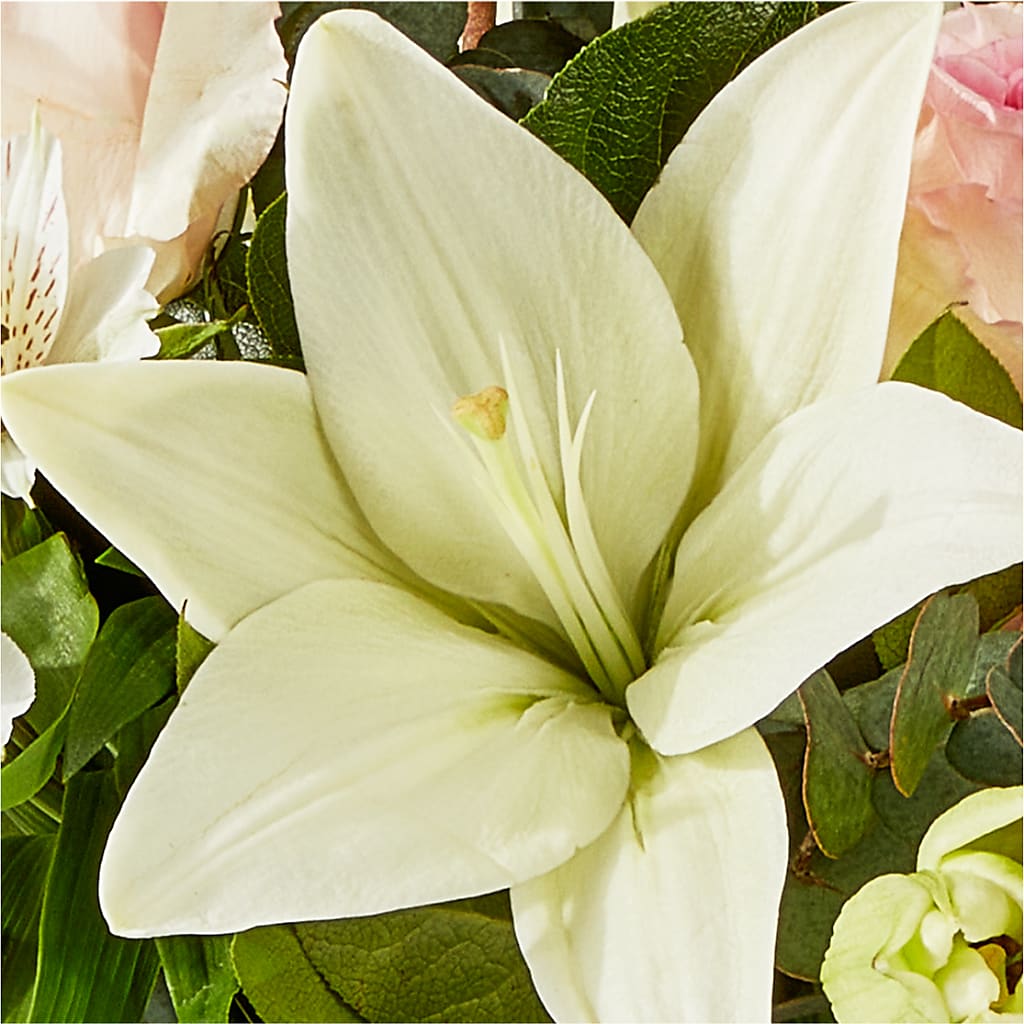 Ballet Slippers Bouquet –  Bird Of Paradise Flowers, Bristol PA
