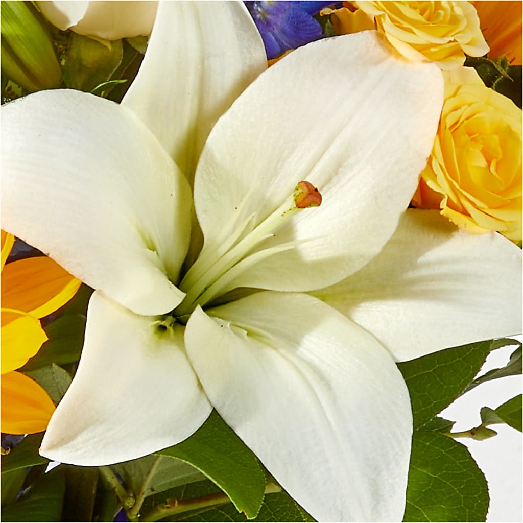 Wonderfully Sunny Bouquet –  Bird Of Paradise Flowers, Bristol PA