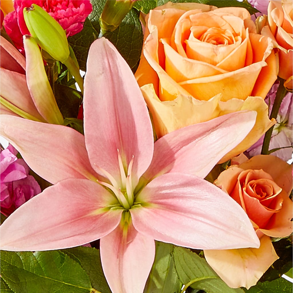 Bisous Bouquet –  Bird Of Paradise Flowers, Bristol PA