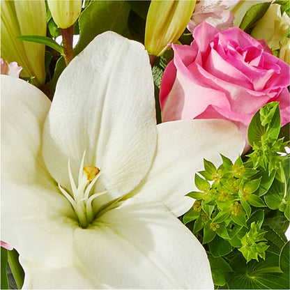 Fondly Bouquet –  Bird Of Paradise Flowers, Bristol PA