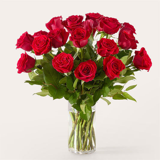 The One Red Rose Bouquet –  Bird Of Paradise Flowers, Bristol PA