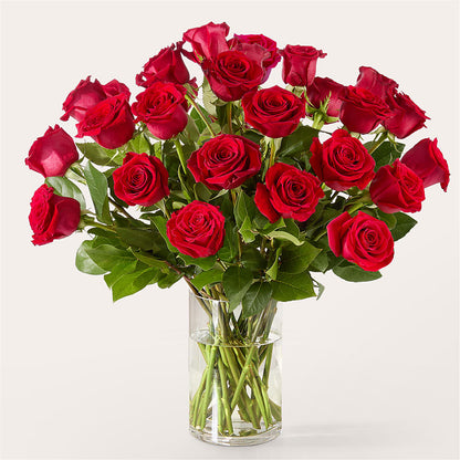 The One Red Rose Bouquet –  Bird Of Paradise Flowers, Bristol PA