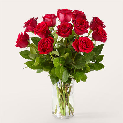 The One Red Rose Bouquet –  Bird Of Paradise Flowers, Bristol PA