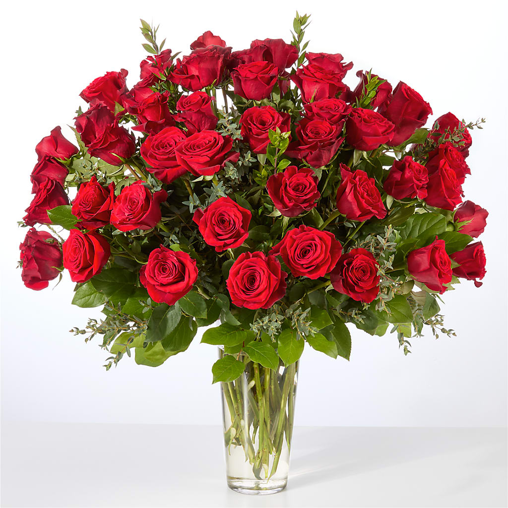 Forever Yours Fifty Stem Red Rose Bouquet –  Bird Of Paradise Flowers, Bristol PA