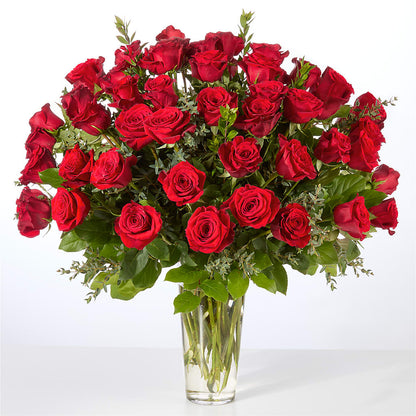 Forever Yours Fifty Stem Red Rose Bouquet –  Bird Of Paradise Flowers, Bristol PA