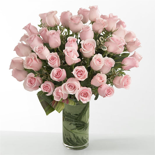 Pink Essence –  Bird Of Paradise Flowers, Bristol PA
