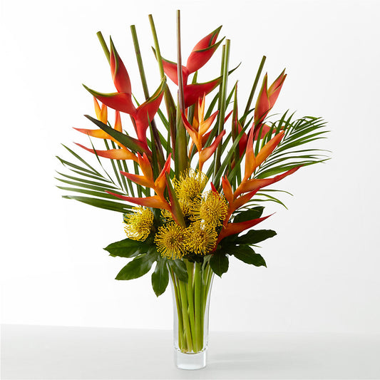The Drama –  Bird Of Paradise Flowers, Bristol PA