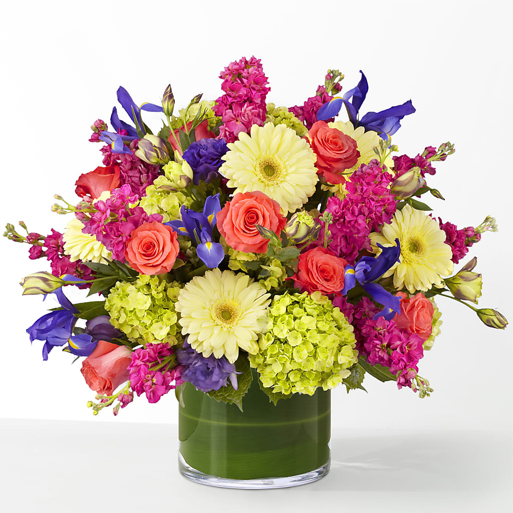 The Couture –  Bird Of Paradise Flowers, Bristol PA