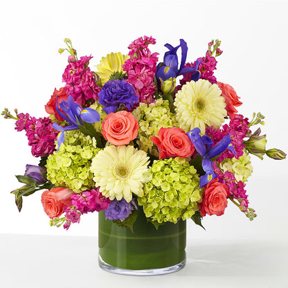 The Couture –  Bird Of Paradise Flowers, Bristol PA