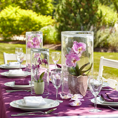Dramatic Garden Centerpiece –  Bird Of Paradise Flowers, Bristol PA