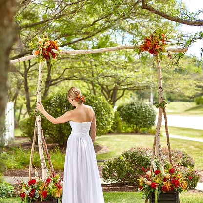 Arbor of Love Archway –  Bird Of Paradise Flowers, Bristol PA