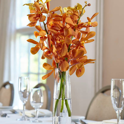 Orange Mokara Bud Vase –  Bird Of Paradise Flowers, Bristol PA