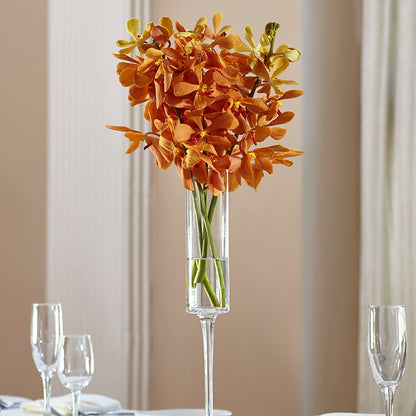 Orange Mokara Bouquet –  Bird Of Paradise Flowers, Bristol PA