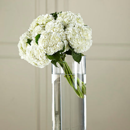 White Hydrangea Hand-Tied Bouquet –  Bird Of Paradise Flowers, Bristol PA