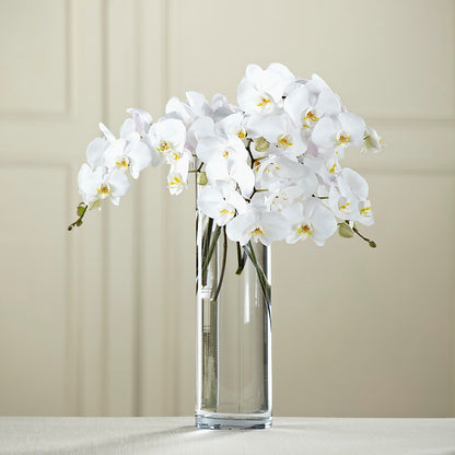 White Phalaenopsis Bouquet –  Bird Of Paradise Flowers, Bristol PA