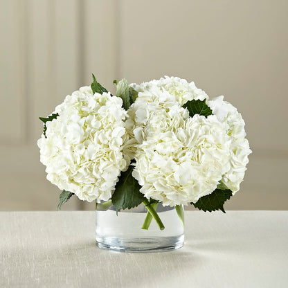 White Hydrangea Bouquet –  Bird Of Paradise Flowers, Bristol PA